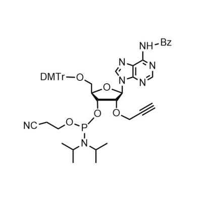 CAS    171486-59-2             	N4-Benzoyl-5'-O-(4,4'-dimethoxytrityl)-2'-O-propargyladenosine-3'-O-[(2-cyanoethyl)-(N,N-diisopropyl)]phosphoramidite