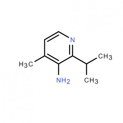 CAS   1698293-93-4     2-ISOPROPYL-4-METHYLPYRIDIN-3-AMINE