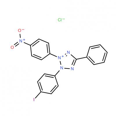 CAS     146-68-9      Iodonitrotetrazolium chloride