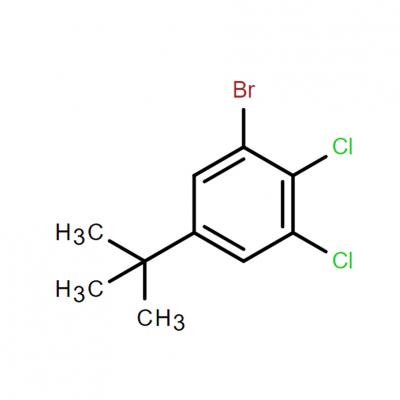 CAS     2409562-95-2   	1-Bromo-5-(tert-butyl)-2,3-dichlorobenzene