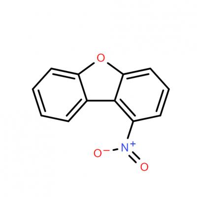 CAS     87812-99-5      Dibenzofuran, 1-nitro-