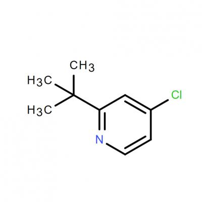 CAS       1163706-64-6      4-chloro-2-tert-butylpyridine
