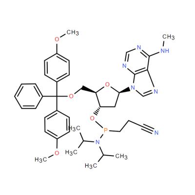 CAS   105931-58-6     5'-O-(4,4'-DIMETHOXYTRITYL)-N6-METHYL-2'-DEOXYADENOSINE, 3'-[(2-CYANOETHYL)-(N,N-DIISOPROPYL)]PHOSPHORAMIDITE