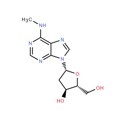 CAS    2002-35-9    N6-METHYL-2'-DEOXY-ADENOSINE