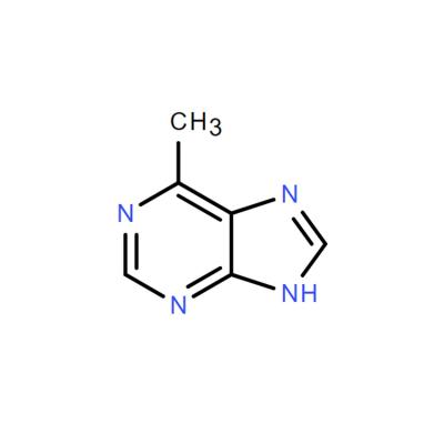 CAS    2004-03-7   6-Methylpurine