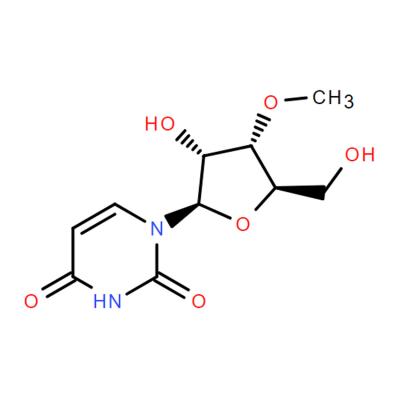 CAS    6038-59-1    3'-O-METHYLURIDINE