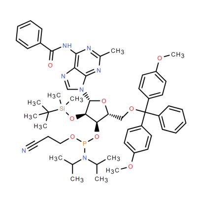 CAS    163496-25-1      Adenosine, N-benzoyl-5'-O-[bis(4-methoxyphenyl)phenylmethyl]-2'-O-[(1,1-dimethylethyl)dimethylsilyl]-2-methyl-, 3'-[2-cyanoethyl N,N-bis(1-methylethyl)phosphoramidite]