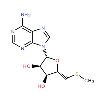 CAS    2457-80-9     5'-DEOXY-5'-METHYLTHIOADENOSINE