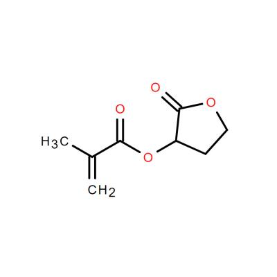 CAS    195000-66- 9    2-Oxotetrahydrofuran-3-yl methacrylate