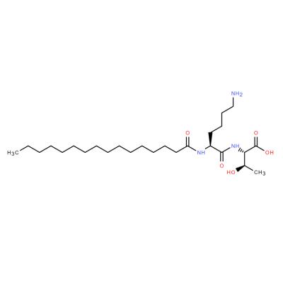 CAS   911813-90-6