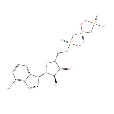 CAS   56-65-5